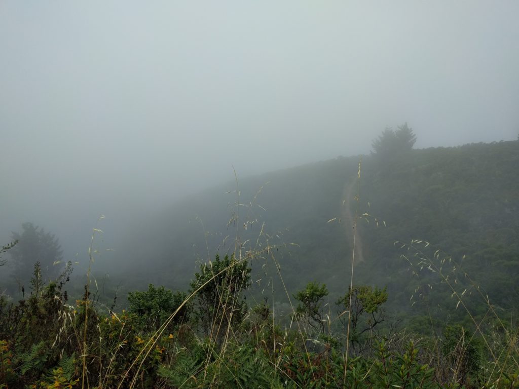 Purisima_20160702_fog